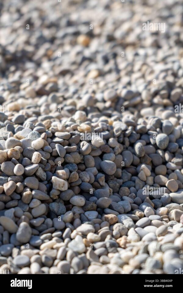 Close-up view of small rounded pebbles with shallow depth of field.