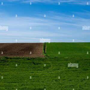 A landscape showing a green grassy field beside a plowed brown field under a blue sky.