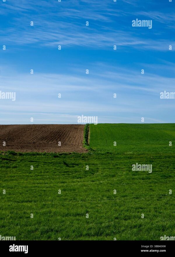 A landscape showing a green grassy field beside a plowed brown field under a blue sky.
