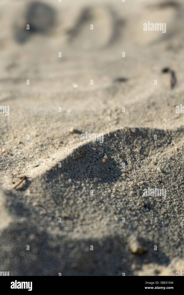 Close-up of sandy surface with fine grains and natural sunlight creating soft shadows and texture.