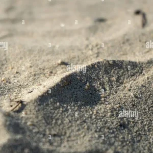 Close-up of sandy surface with fine grains and natural sunlight creating soft shadows and texture.