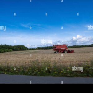 A red combine harvester in a field under a bright blue sky.