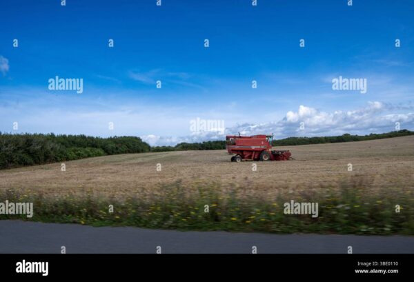 A red combine harvester in a field under a bright blue sky.