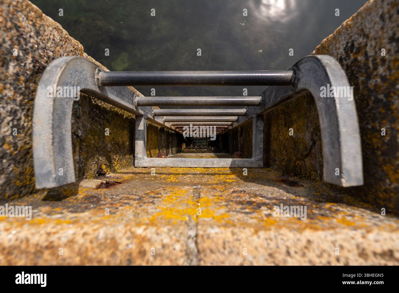 A metal ladder fixed to a stone pier leading down into the water.