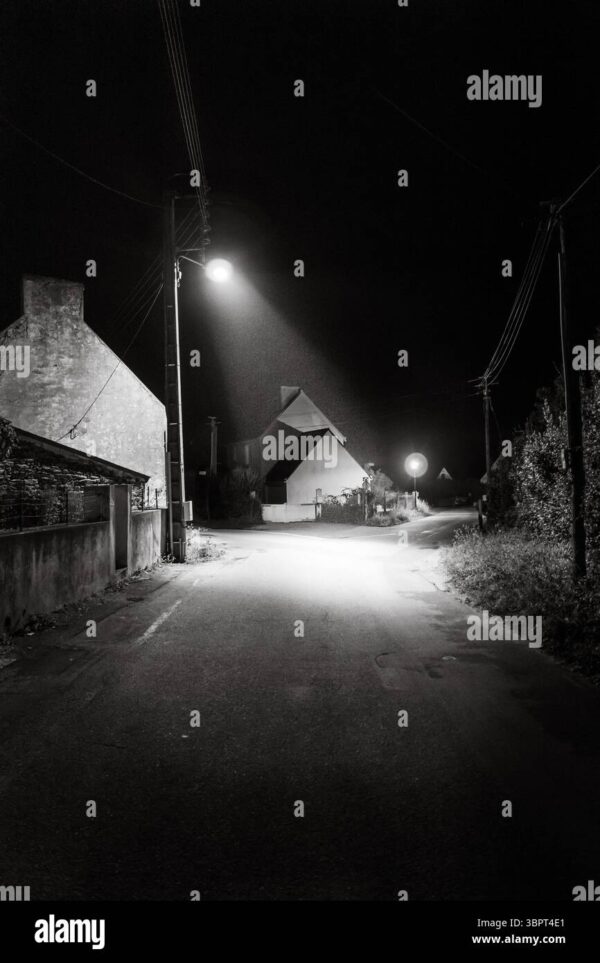 Empty rural village street at night illuminated by streetlights in black and white.