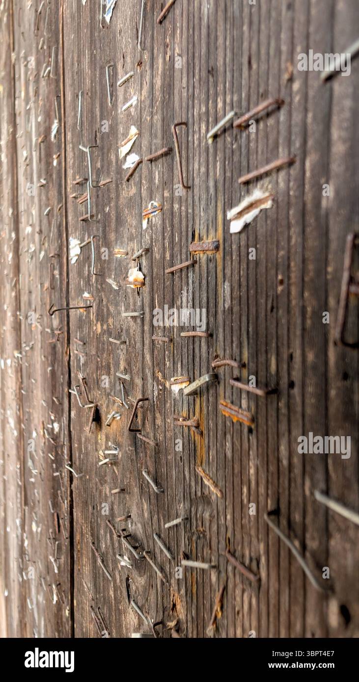Close-up of a wooden pole covered with old staples and nails from past posters and flyers.
